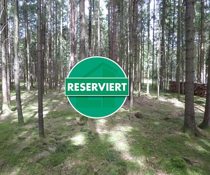 Optimaler Wald für Privathaushalte
in Pilsach - Litzlohe