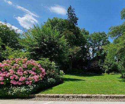 Parkähnlich wohnen in Villenlage ...
Exklusive 3 Zimmer- Wohnung mit großer Terrasse ...