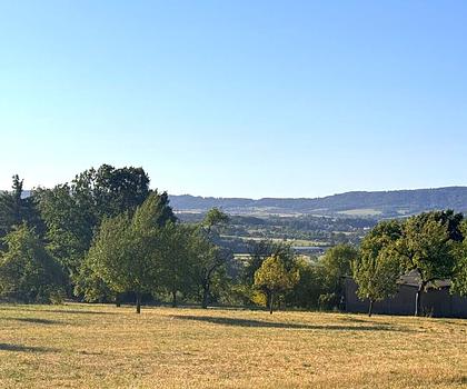 Familienglück in erhöhter Aussichtslage - Ihr Bauplatz über den Dächern von Forchheim/ Reuth