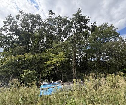 Großzügiges Baugrundstück in Wendelstein-Großschwarzenlohe