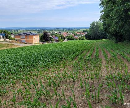 Großzügig bebaubares Grundstück mit Panoramablick