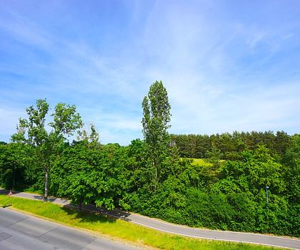 Naturschutzgebiet vor der Haustür: Helle 2 Zi. Dachgeschoss-Whg. mit Weitblick auf den Hainberg-Park