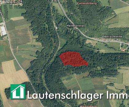 Waldgrundstück bei Hersbruck
Evtl. als Ausgleichsfläche nutzbar!