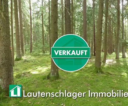 Top Waldfläche in Pilsach - Litzlohe
-auch teilbar-