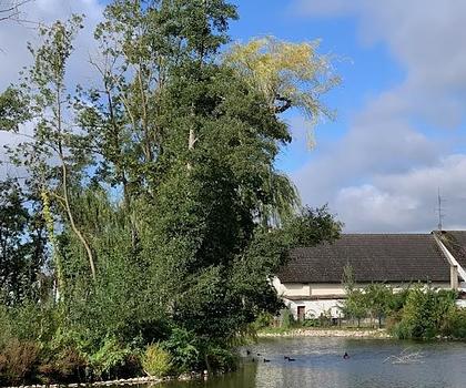 Investitionspaket mit Entwicklungspotenzial in idyllischer Lage ...