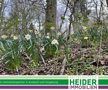 Wochenendgrundstück