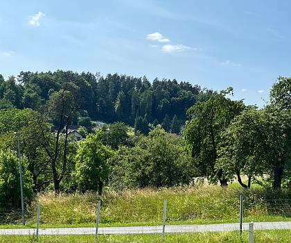 Großzügiges Baugrundstück in Ortsrandlage von Niedermirsberg