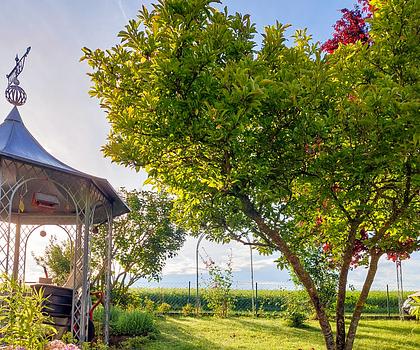 Klassisches Einfamilienhaus mit Einliegerwohnung, Doppelgarage und großem Garten in Altertheim