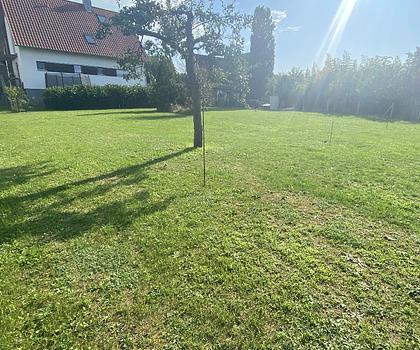 Ruhig gelegener Bauplatz in Effeltrich (je nach Wunsch, ca. 500-800m² abteilbar)