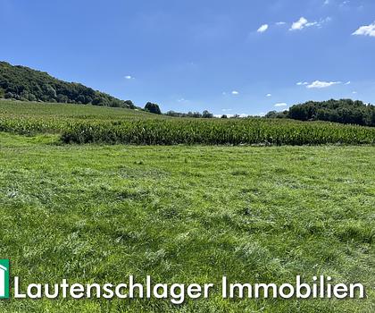 Hektar besteht....!
Ackerfläche in Neumarkt