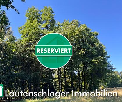Optimale Größe für den Privathaushalt!
Mischwald in Pilsach