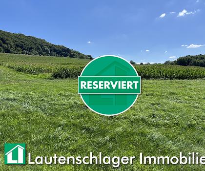 Hektar besteht....!
Ackerfläche in Neumarkt