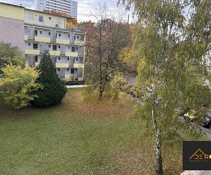 FRISCH RENOVIERT - 1-ZIMMER APPARTEMENT - BEZUGSFERTIG