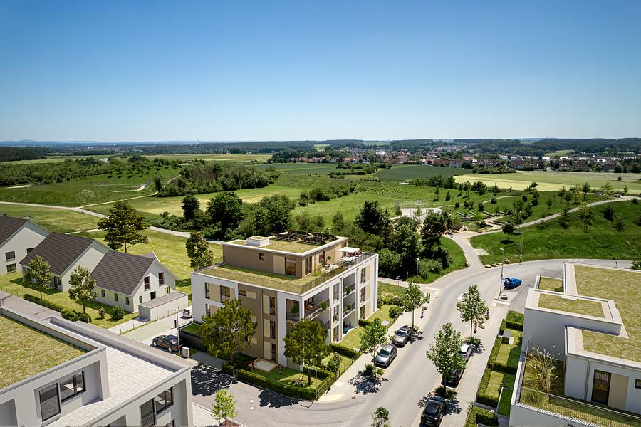 Daily Home – Where Life Becomes Story