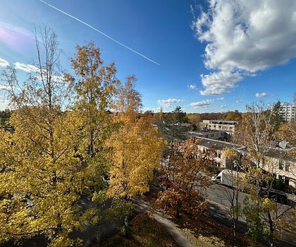 3-Zimmer-Eigentumswohnung mit Aussicht