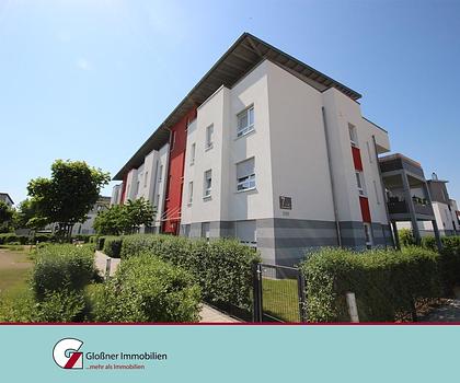 Wohnen aus einem Guss