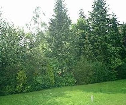 Attraktives Apartment mit schönem Blick ins Grüne ...