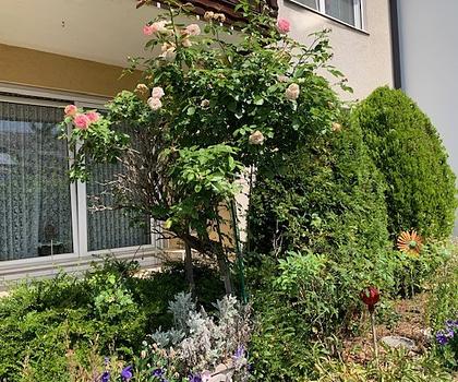 Gemütliches Ambiente ... 
Gegen Gebot zu verkaufen ... 