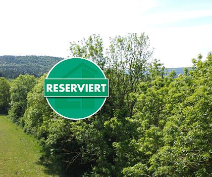 Natur Pur!
Optimale Ausgleichsfläche bei Berching